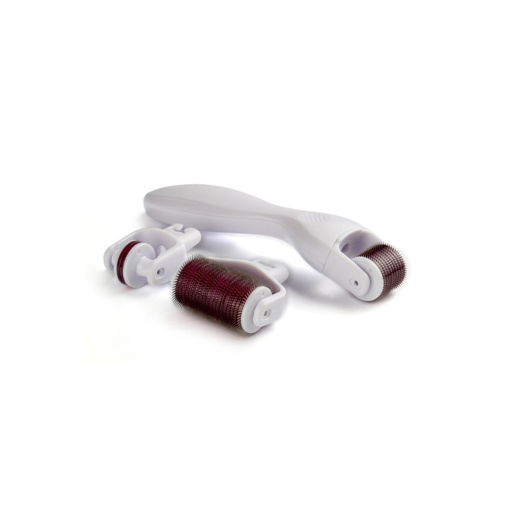 DERMA ROLLER 3w1